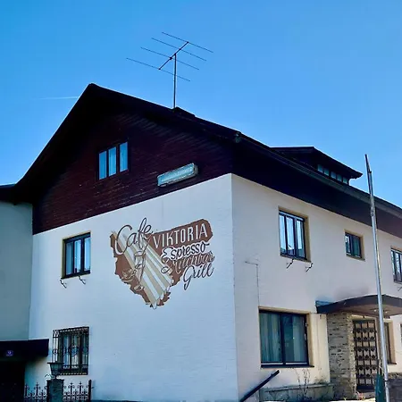 Alpenresidenz Viktoria Апартаменты *